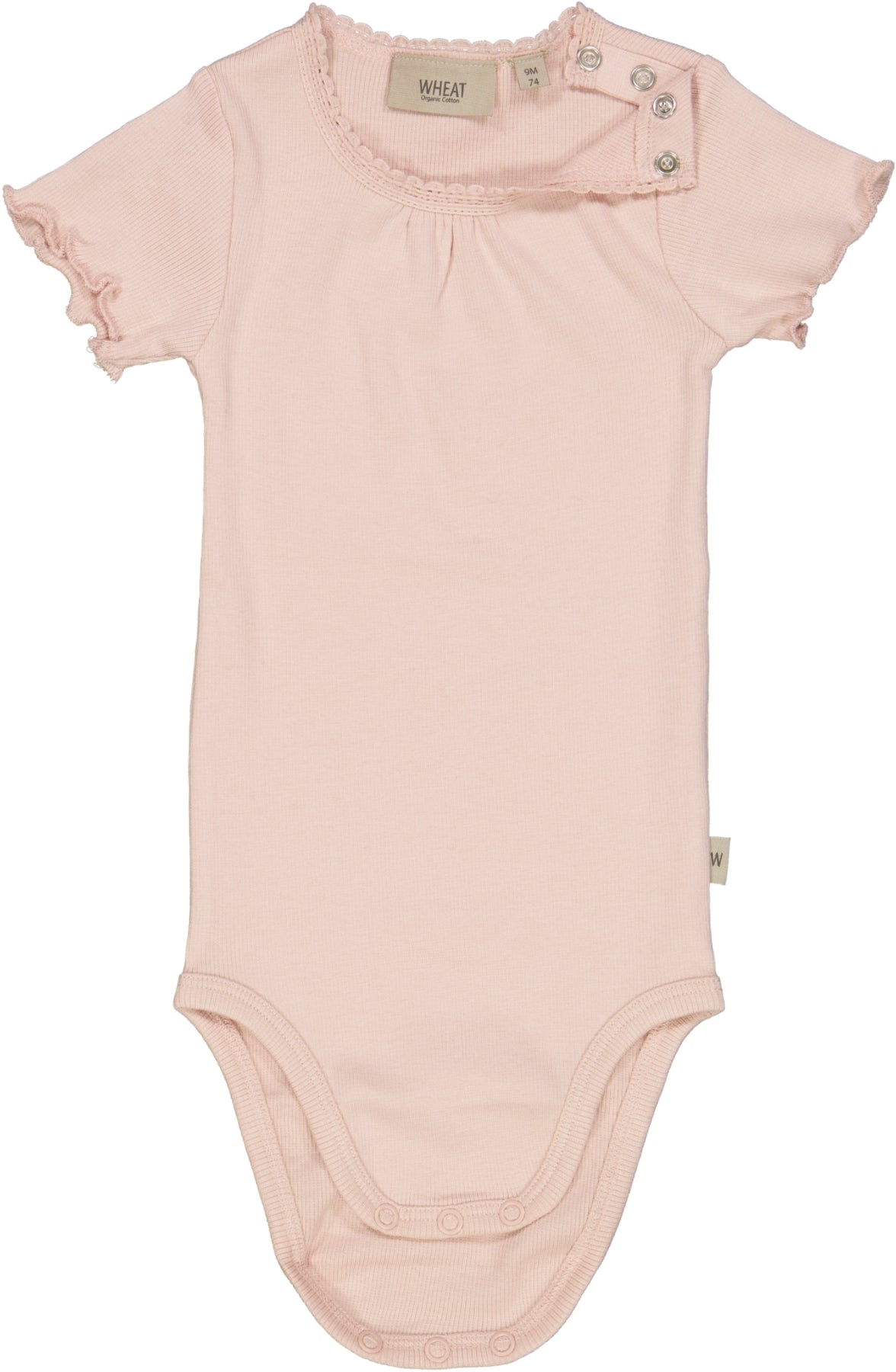 Wheat - Kurzarm Body 'Body Rib Lace SS - Powder'